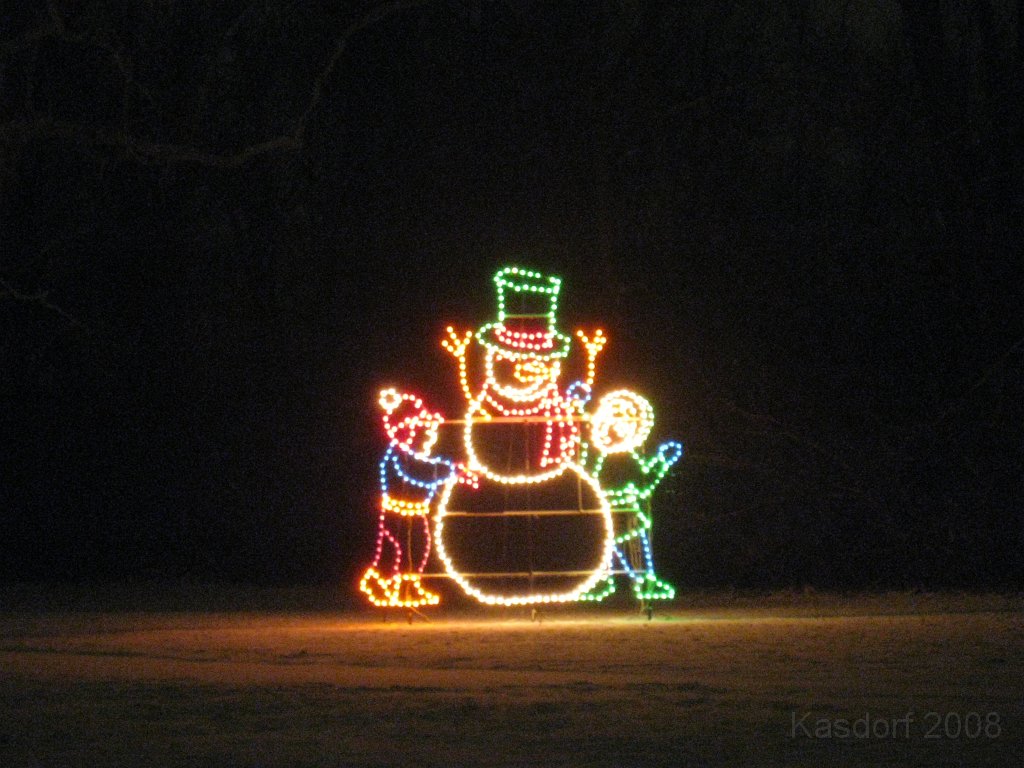 Christmas Lights Hines Drive 2008 058.jpg - The 2008 Wayne County Hines Drive Christmas Light Display. 4.5 miles of Christmas Light Displays and lots of animation!